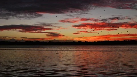 Sunrise over lake Stock Footage 75239826