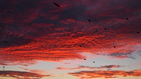 Sunrise over lake Stock Footage 75241876