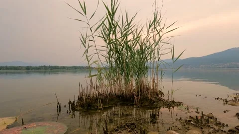 Sunrise over the lake Stock Footage 203762355