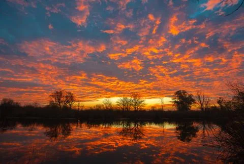 Sunrise over the lake with reflection of bare trees in the water. Stock Photos