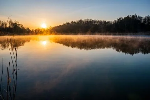 Sunrise over the lake with tree reflection and beautiful fog Stock Photos