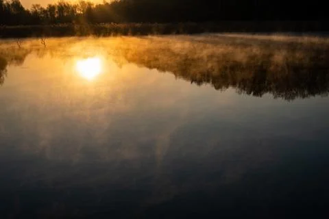 Sunrise over the lake with tree reflection and beautiful fog Stock Photos