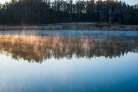 Sunrise over the lake with tree reflection and beautiful fog Stock Photos