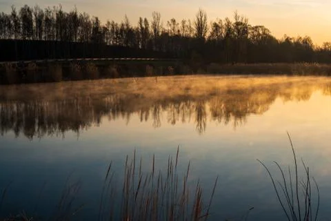 Sunrise over the lake with tree reflection and beautiful fog Stock Photos