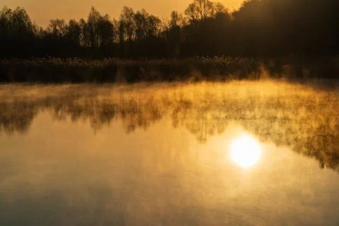 Sunrise over the lake with tree reflection and beautiful fog Stock Photos