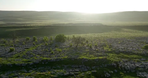 Sunrise over limestone pavement Stock Footage 277401199