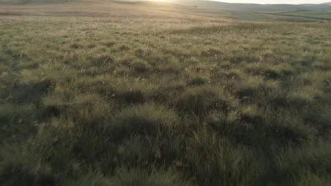 Sunrise over meadows Video stock 166726525