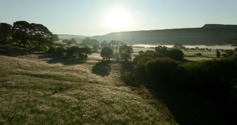 Sunrise over misty fields Stock Footage 313970336