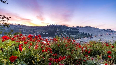 Sunrise over the Mount of Olives, Jerusalem Israel; time lapse 4K Stock Footage 88527050