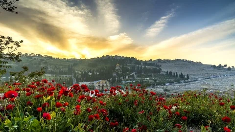 Sunrise over the Mount of Olives, Jerusalem Israel; time lapse 4K 스톡 동영상 88527293