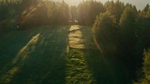 Sunrise over the Mountain Forest Landscape with Morning Light and Shadows Vídeos de archivo 331168942