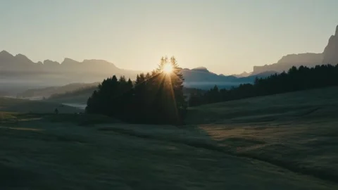 Sunrise over Mountain Meadows with Coniferous Trees and Golden Sunlight Stock Footage 331168680