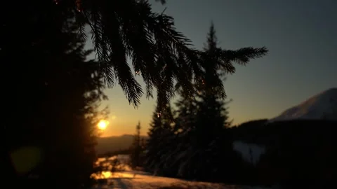 Sunrise over the mountains with trees framing the view in winter Stock Footage 281855222