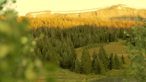 Sunrise Over MTN Forest Video stock 8608043