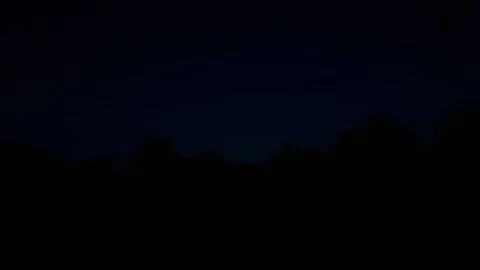 Sunrise over palm tree forest Video stock 105806317