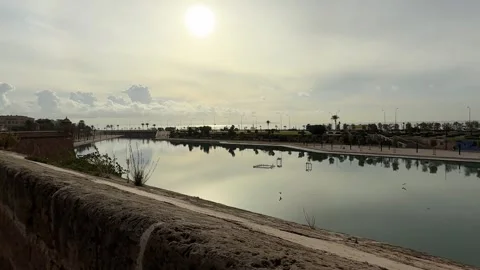 Sunrise over Parc de la Mar with birds flying over the lake, Palma de Mallorca Video stock 324890035