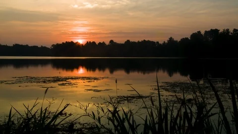 Sunrise Over Pond Stock Footage 115280335