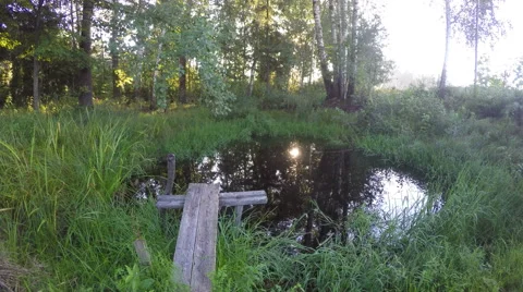 Sunrise over the pond, time lapse 4K Video stock 68072708