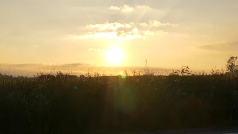 Sunrise over quiet field 스톡 동영상 78690994