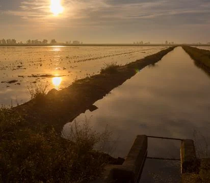 Sunrise Over Rice Fields in Isla Mayor, Sevilla, Spain Stock Photos