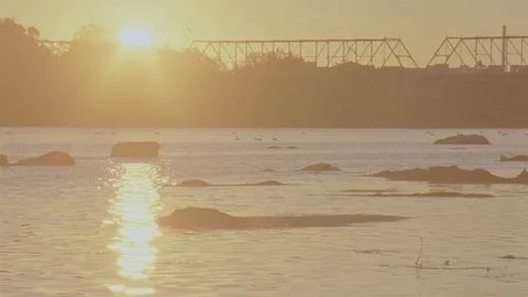 Sunrise over River and City Stock Footage