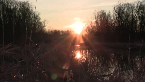 Sunrise over a river fall autumn scenic Video stock 149711537