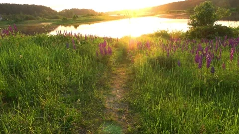 Sunrise over the river Stock Footage 276876561