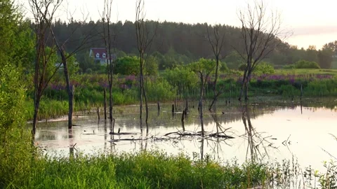 Sunrise over the river Stock Footage 276876577