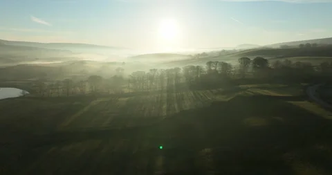 Sunrise over row of trees in a misty valley Stock Footage 307643467