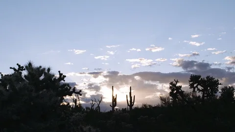 Sunrise over Saguaros Stock Footage 111346953