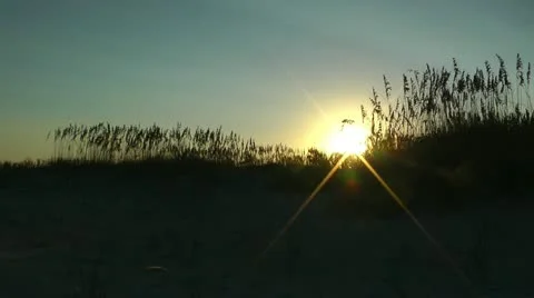 Sunrise over sand dune Stock Footage 12169519