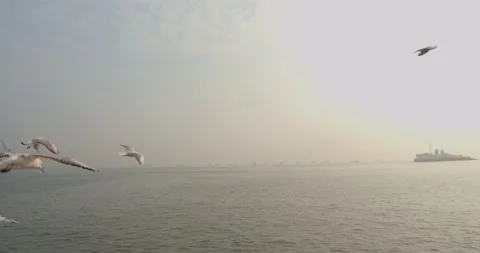 Sunrise over the sea Stock Footage 132397546