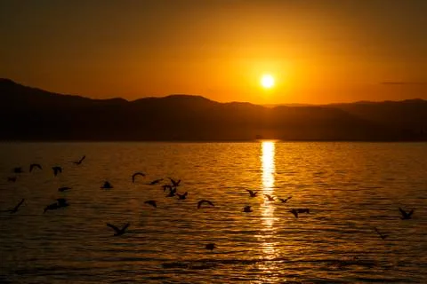 Sunrise over the sea Stock Photos