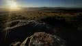 Sunrise over Skilpad Flower Valley HD Footage