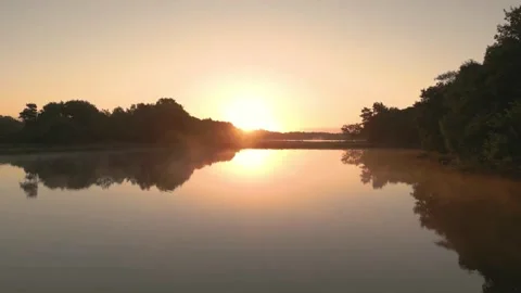 Sunrise over the swamp Stock Footage 243543722