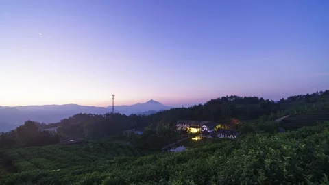 Sunrise Over Tea Plantation with Rolling Hills and Morning Mist Time-lapse Stock Footage 326705041