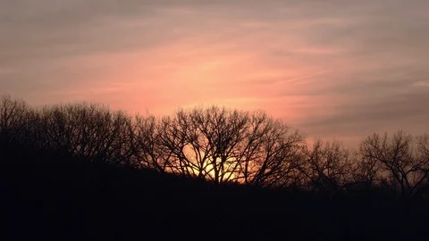 Sunrise over the tree tops Stock Footage 108640629
