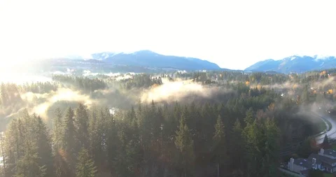 Sunrise Over the Trees 2 Stock Footage 120487994