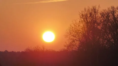 Sunrise over the trees and time child of the rising sun in the sky Stock Footage