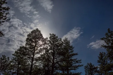 Sunrise over trees with clouds and a blue sky Stock Footage 78835139