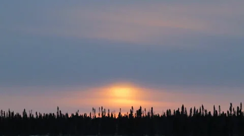 Sunrise Over Trees Stock Footage 35569271