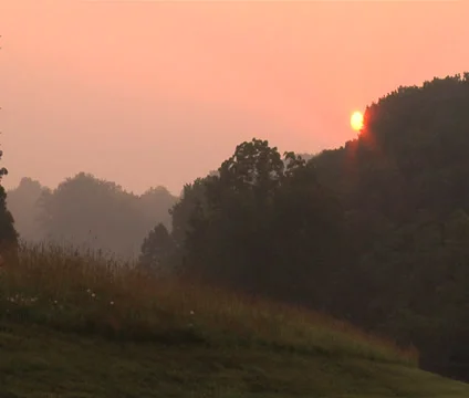 Sunrise Over Trees Видео 38216718