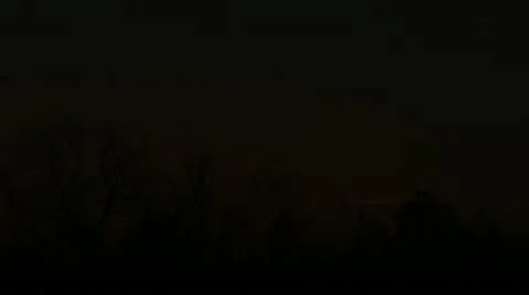 Sunrise over trees ms timelapse Stock Footage 17851568