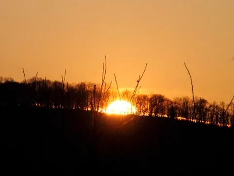 Sunrise over trees Stock Photos