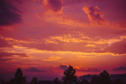 The sunrise over the trees Photos