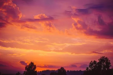 The sunrise over the trees Stock Photos