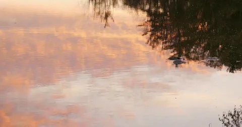 Sunrise over water Stock Footage 220376245