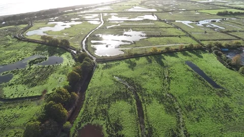 Sunrise over Wetlands and meadows in RSPB Exminster and Powderham Marshe Vidéo 251793953