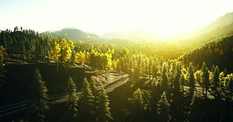 Sunrise over a winding road through vibrant autumn forest landscape in nature Ilustração Stock