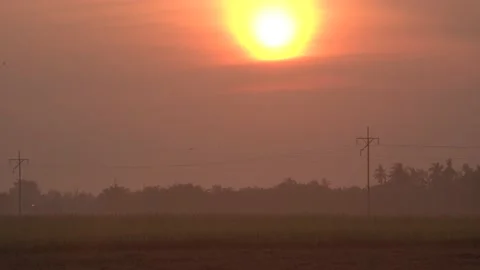 Sunrise at the paddy field Video stock 153337198